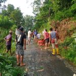 WhatsApp Image 2026-02-12 at 07.28.08